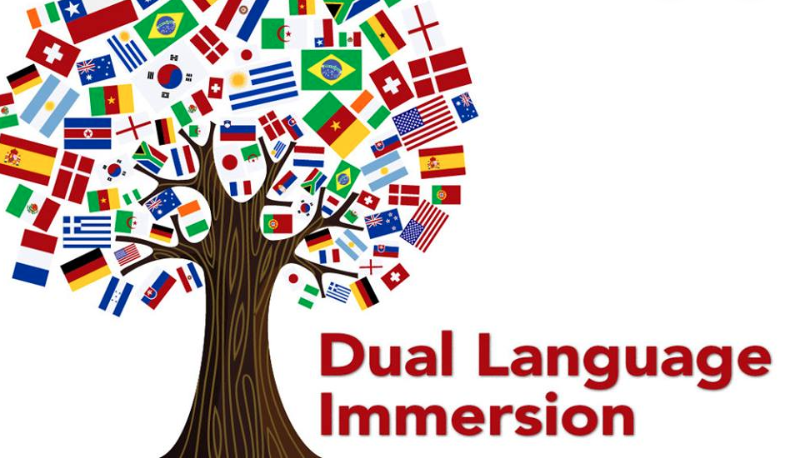 Pío Pico Spanish Dual Language Immersion Academy / Overview