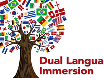 Dual Immersion